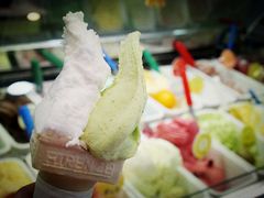 雪糕-柠檬车露(卖草地店)