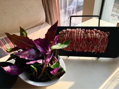 -滇釜火锅·能喝汤的火锅(车公庄店)