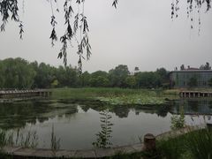 -望湖公园