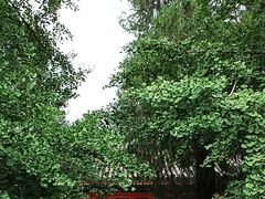 -承恩寺