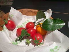 -季季山·云南野生菌火锅(上海首店)