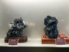 -甘肃地质博物馆