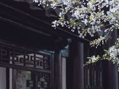 -莫愁湖公园