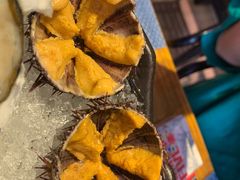 -深蓝金枪·深海鱼刺身(香洲店)