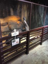 -酷嗒动物文化乐园(cutezoo西溪乐天城店)