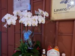 -LANN I 蘭·泰式古法按摩(高岛屋百货店)