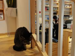 -猫的天空之城概念书店(苏州平江店)