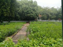 -晓港公园