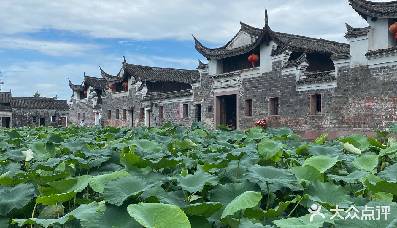 宁波｜总该为了这片荷花池来喝一杯荷塘咖啡吧