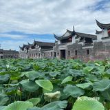 宁波｜总该为了这片荷花池来喝一杯荷塘咖啡吧