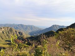 -大岭沟猕猴桃谷风景区