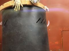 -上海大自然野生昆虫馆