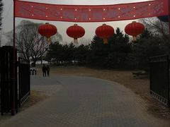 -北京亚布洛尼朝阳公园滑雪场