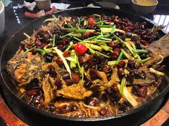 -老板恋上鱼(环山路店)