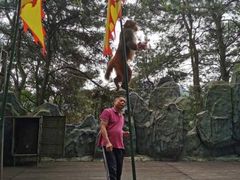 -石燕湖生态旅游景区
