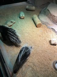 -酷嗒动物文化乐园(cutezoo西溪乐天城店)