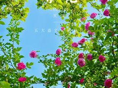 -天津五大道文化旅游区