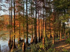 -星湖旅游景区七星岩