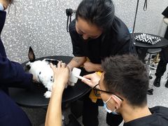 -宠物家(角门东店)
