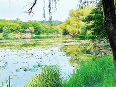 -承德避暑山庄景区