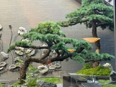 -曲水兰亭(北京四惠店)
