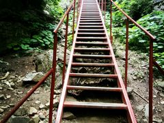 一线天的梯子吧算是-沕沕水生态风景区