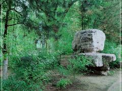 -大兴滨河森林公园