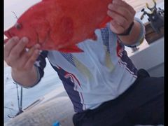 -小猫钓鱼海钓俱乐部(椰梦长廊店)