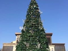 -上海崇明金茂凯悦酒店