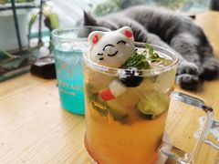 -猫小院猫主题咖啡厅(北锣店)