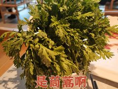 -俏牛哥鲜牛肉牛肆馆(重庆天地店)