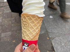 -蜜雪冰城(托乐嘉店)