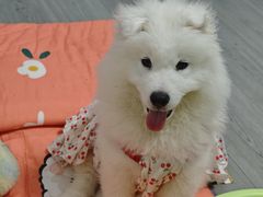 -联合动物医院(光谷诊疗中心)