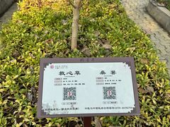 -马王堆汉墓遗址