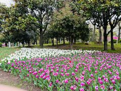 -上海鲜花港