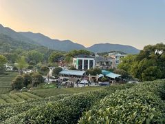 -听风阁农家私房菜茶楼(龙坞店)