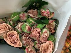 -循礼门鲜花花市(武汉循礼门店)