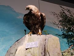 -重庆中国三峡博物馆(重庆博物馆)