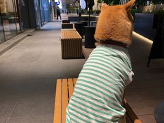 -星巴克臻选(北京凤凰汇店)