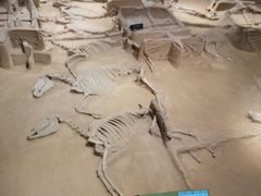 -洛阳周王城天子驾六博物馆