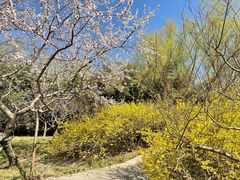-莲花池公园