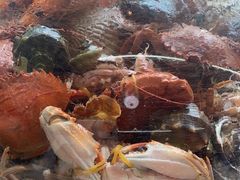 -港畔赶海蒸汽海鲜烧烤自助(仙螺岛店)