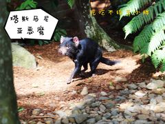 -可伦宾野生动物保护区