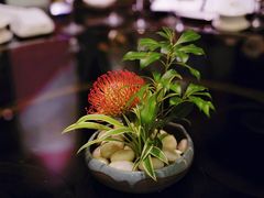 -北京四季酒店·采逸轩