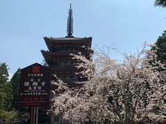 -醍醐寺