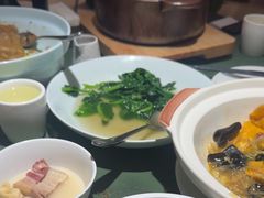 -老吉堂上海本帮菜(望京万象汇店)