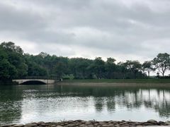-象山森林公园