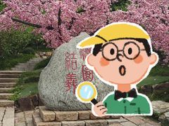 -三国水浒景区(无锡影视基地)