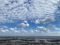 -南汇新城海滩