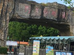 -合肥野生动物园
